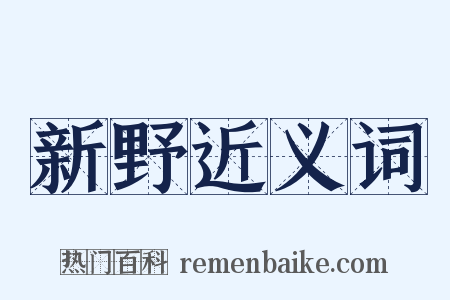 新野近义词是什么意思的图片